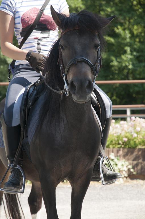 Agriturismo Jesson Rosamund คานตู ภายนอก รูปภาพ