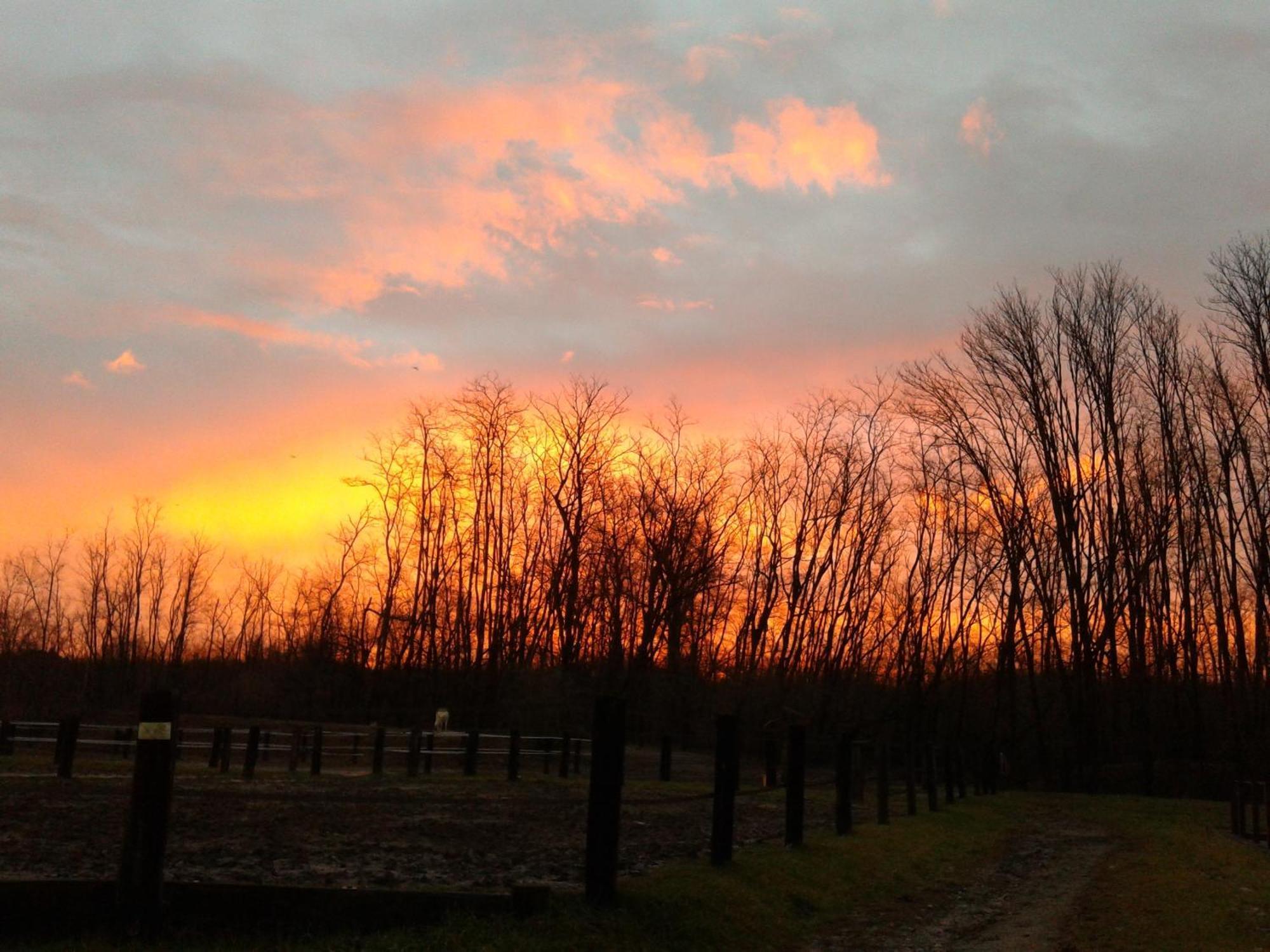 Agriturismo Jesson Rosamund คานตู ภายนอก รูปภาพ