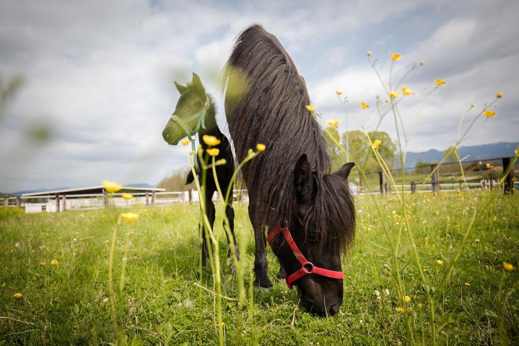 Agriturismo Jesson Rosamund คานตู ภายนอก รูปภาพ