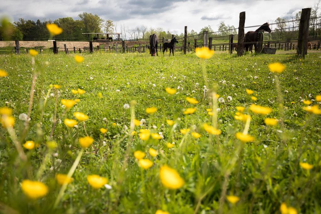 Agriturismo Jesson Rosamund คานตู ภายนอก รูปภาพ